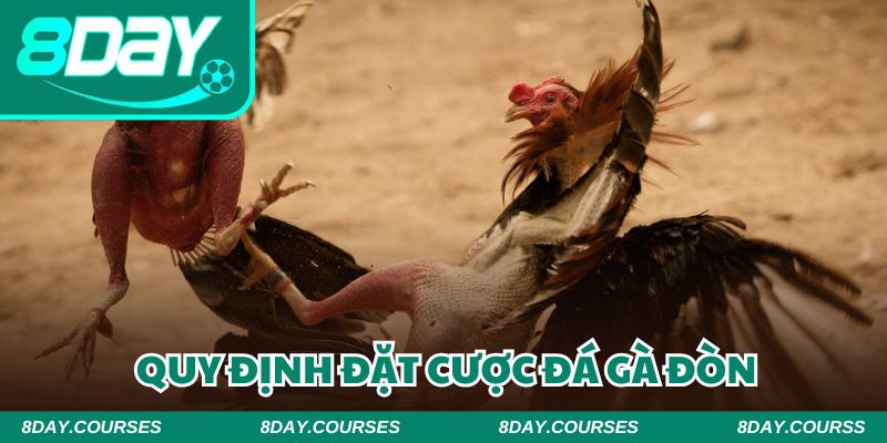 Tuân thủ các quy định khi đặt cược để có trải nghiệm hiệu quả nhất